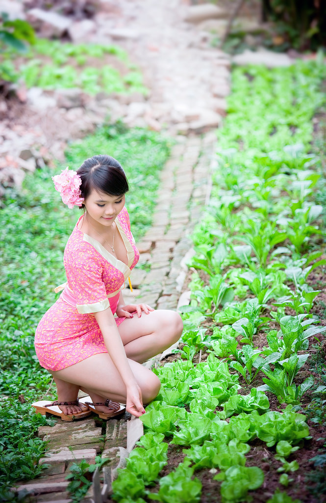 妹妹的诱惑